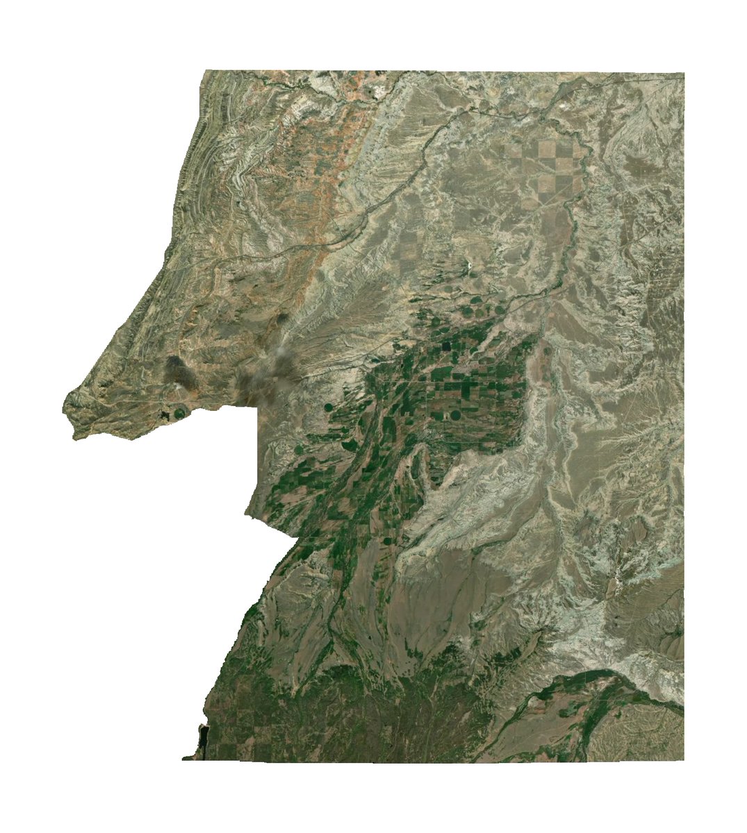 every census tract tweet media