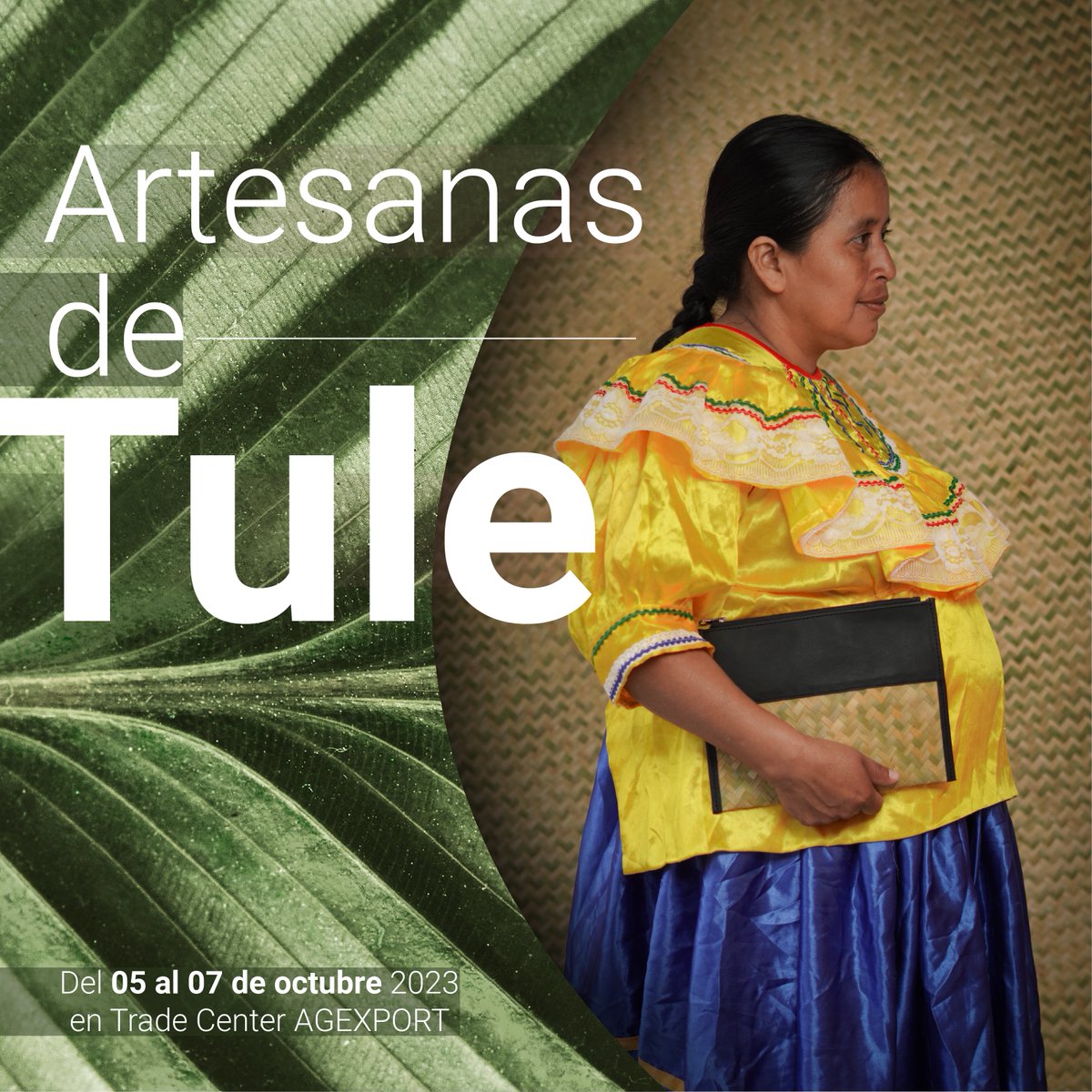 Alianzas AGEXPORT tweet media