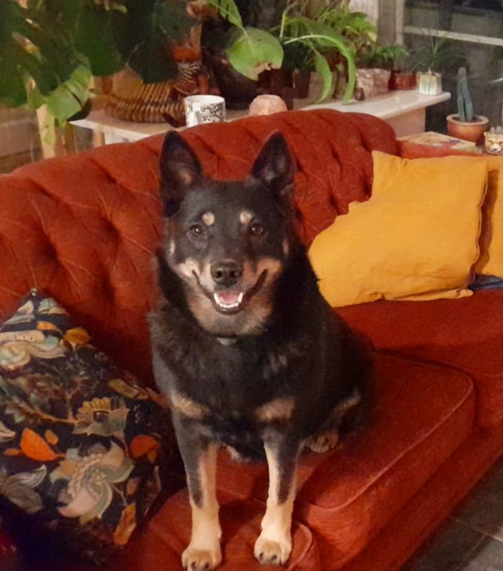 Mervi Heikkilä tweet media