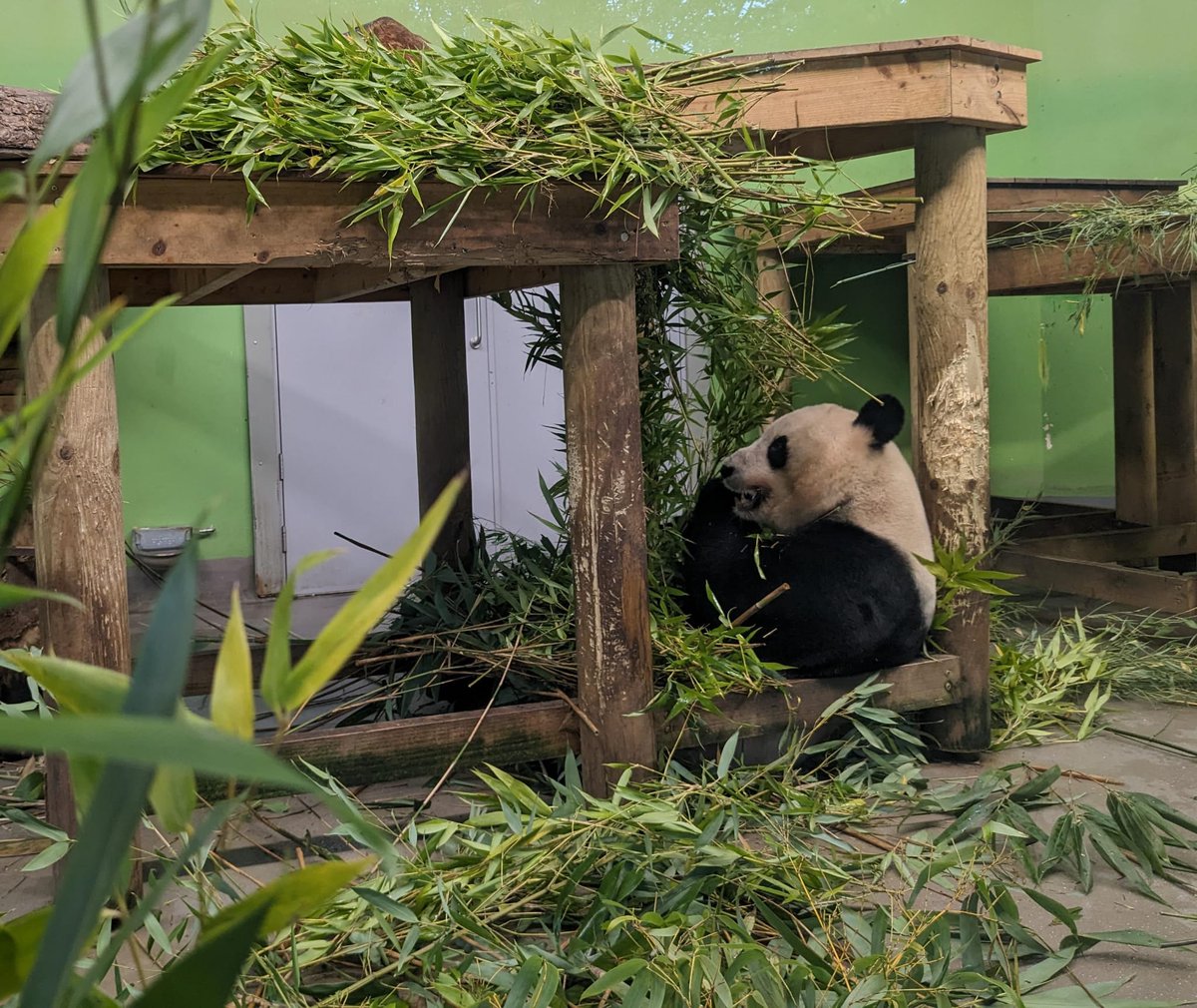 Great to get together with many of the <a href="/AlzScotDRC/">AlzheimerScot DRC</a> team for our annual kick off meeting to start the academic year. Thanks to the Mansion House at <a href="/EdinburghZoo/">Edinburgh Zoo</a> for their lovely library and delicious food! #dementia #research #PhD <a href="/SchoolofPPLS/">School of PPLS</a>  <a href="/EdinUniBrainSci/">ClinicalBrainScience</a> <a href="/acrcedincare/">ACRC</a>