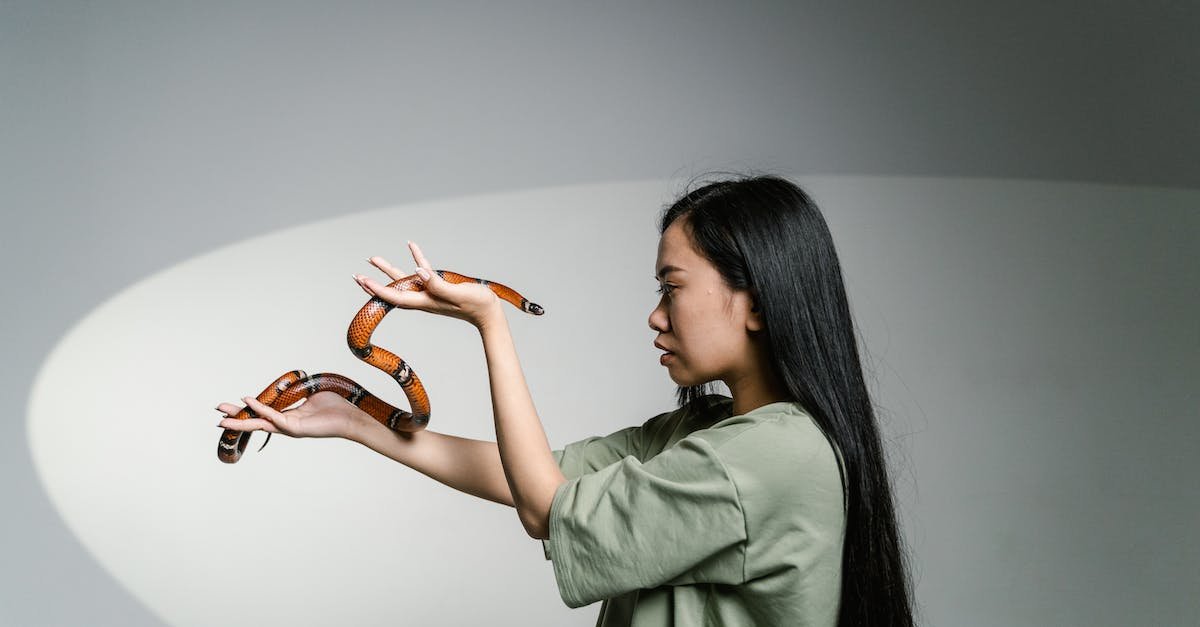 TinaLRoman's tweet image. When faced with obstacles, remember that you are stronger than you think. Believe in yourself, stay determined, and never give up. The road to success may be bumpy, but it's worth it in the end. #Motivation #NeverGiveUp