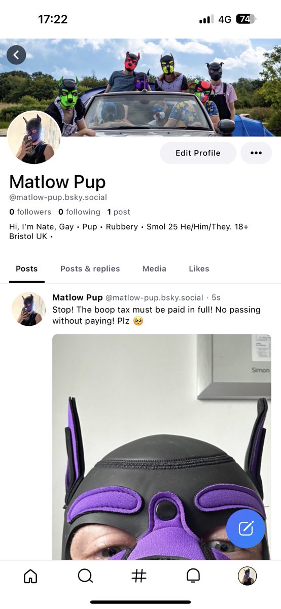 Matlow Pup tweet media