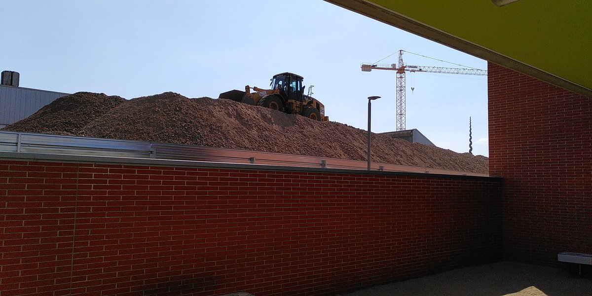 Sonsoles tweet media