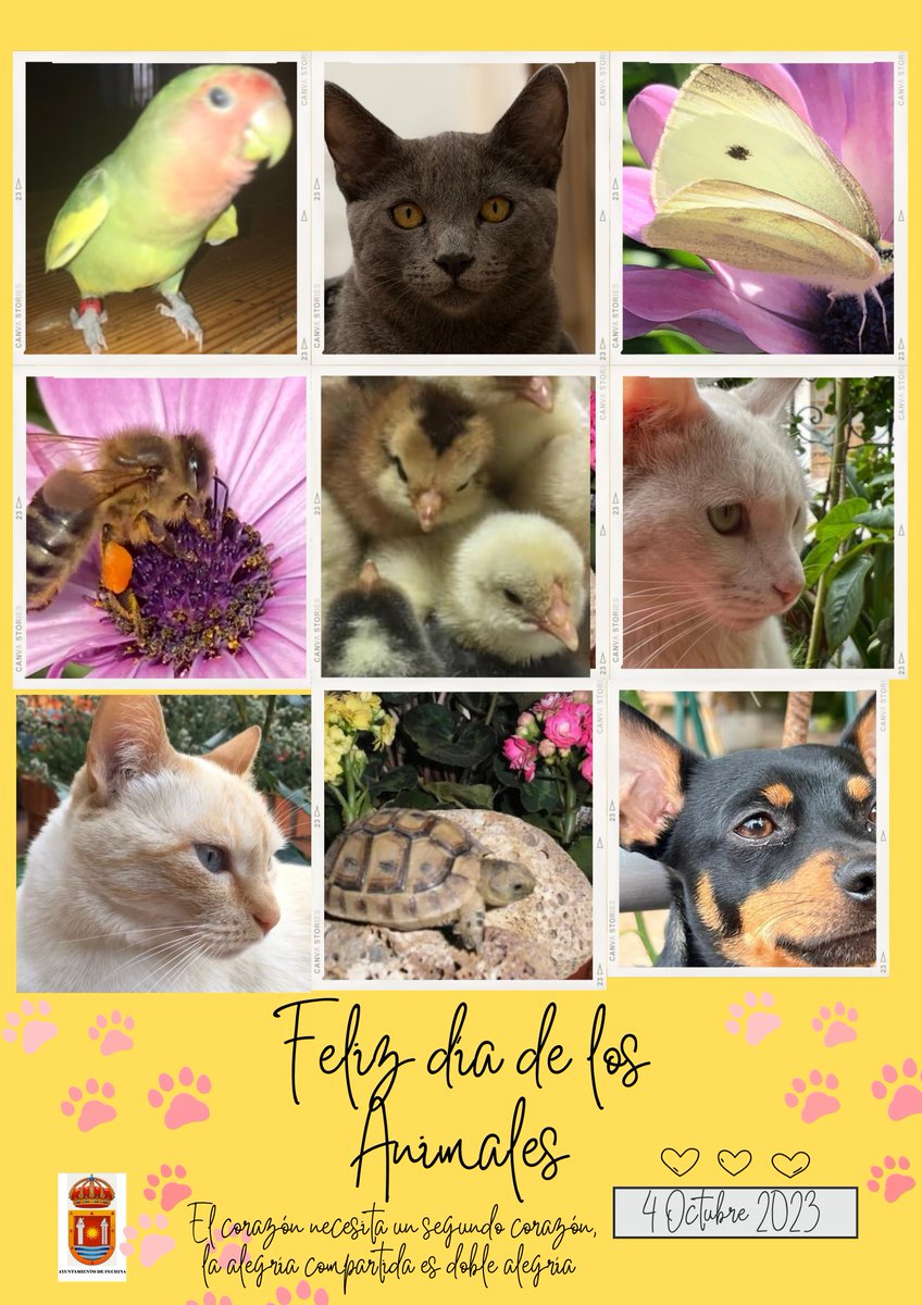 Ayuntamiento de Pechina (@aytopechina) on Twitter photo 