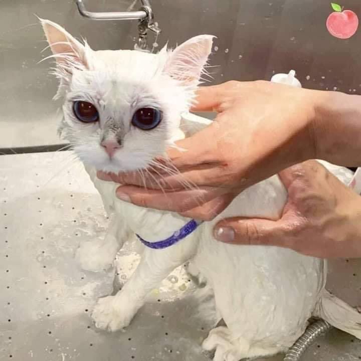 positive side of X 🌞 tweet media