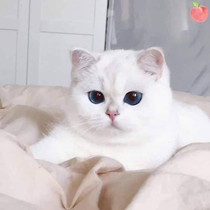 positive side of X 🌞 tweet media