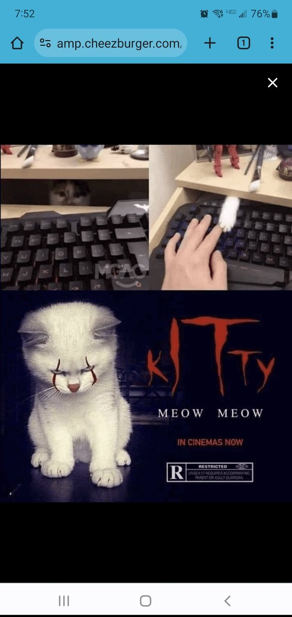 Rendee's tweet photo. @StephenKing https://t.co/INZK9tuoLX