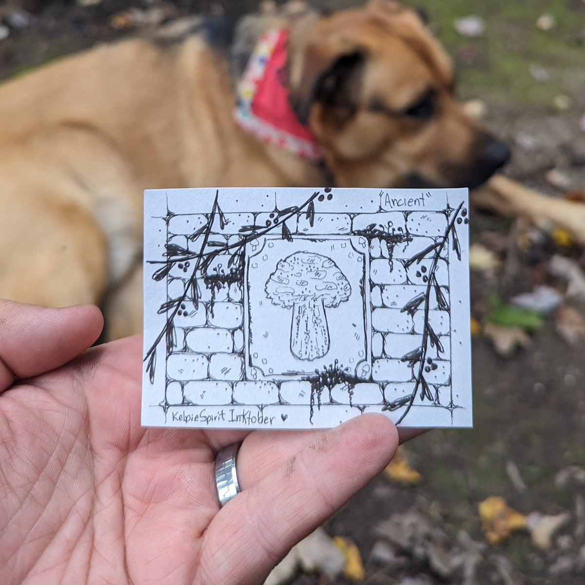 KelpieSpirit's tweet photo. Today's inspiration is #Ancient
Those who tag me will get shared on my story!

#kelpiespiritinktober #inktober #inktober2023 #illustration #inktoberday #artist #artwork #halloween #inktoberchallenge #traditionalart #painting #illustrator #inktoberprompts #mushrooms https://t.co/RsQd0C53dH
