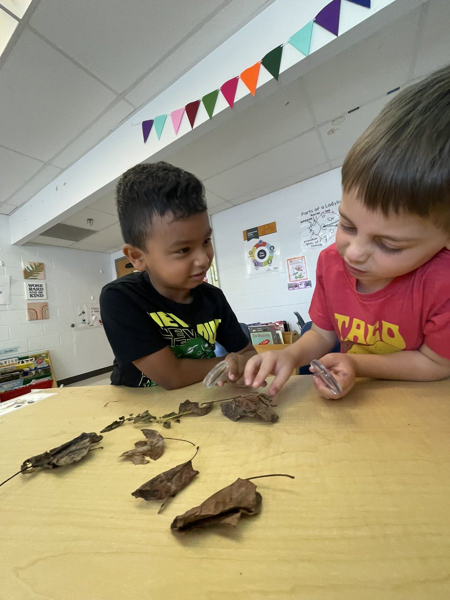 MsCleer's tweet photo. “I notice this one is bumpy and has dirt on it. It sounds crunchy” #MakingObservations #BeechTreeFamily https://t.co/4iKfIZatoS