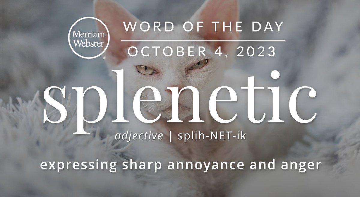 MerriamWebster's tweet photo. The #WordOfTheDay is ‘splenetic.’
https://t.co/0f8qdl7FeN https://t.co/1pNZKwBcHB