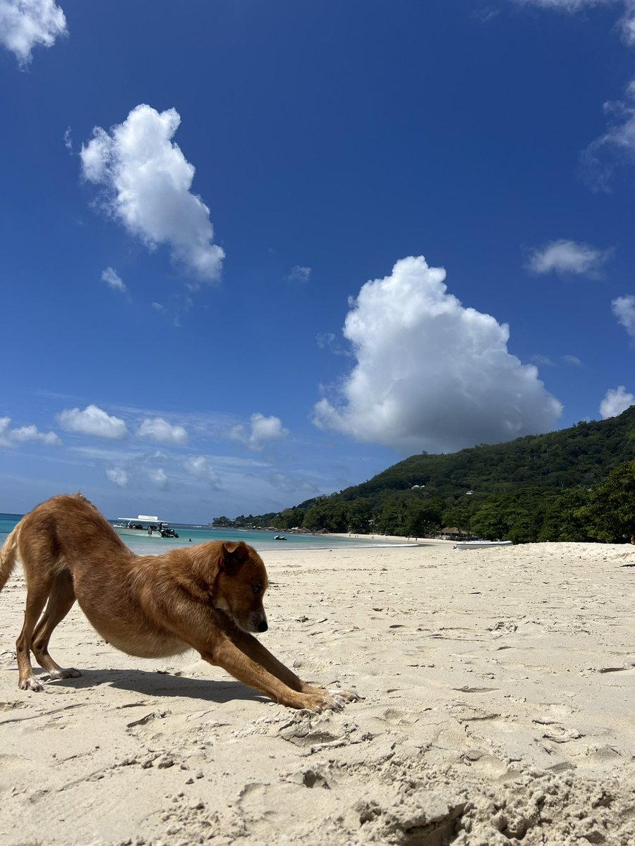 Morten Mosvold Jørgensen tweet media