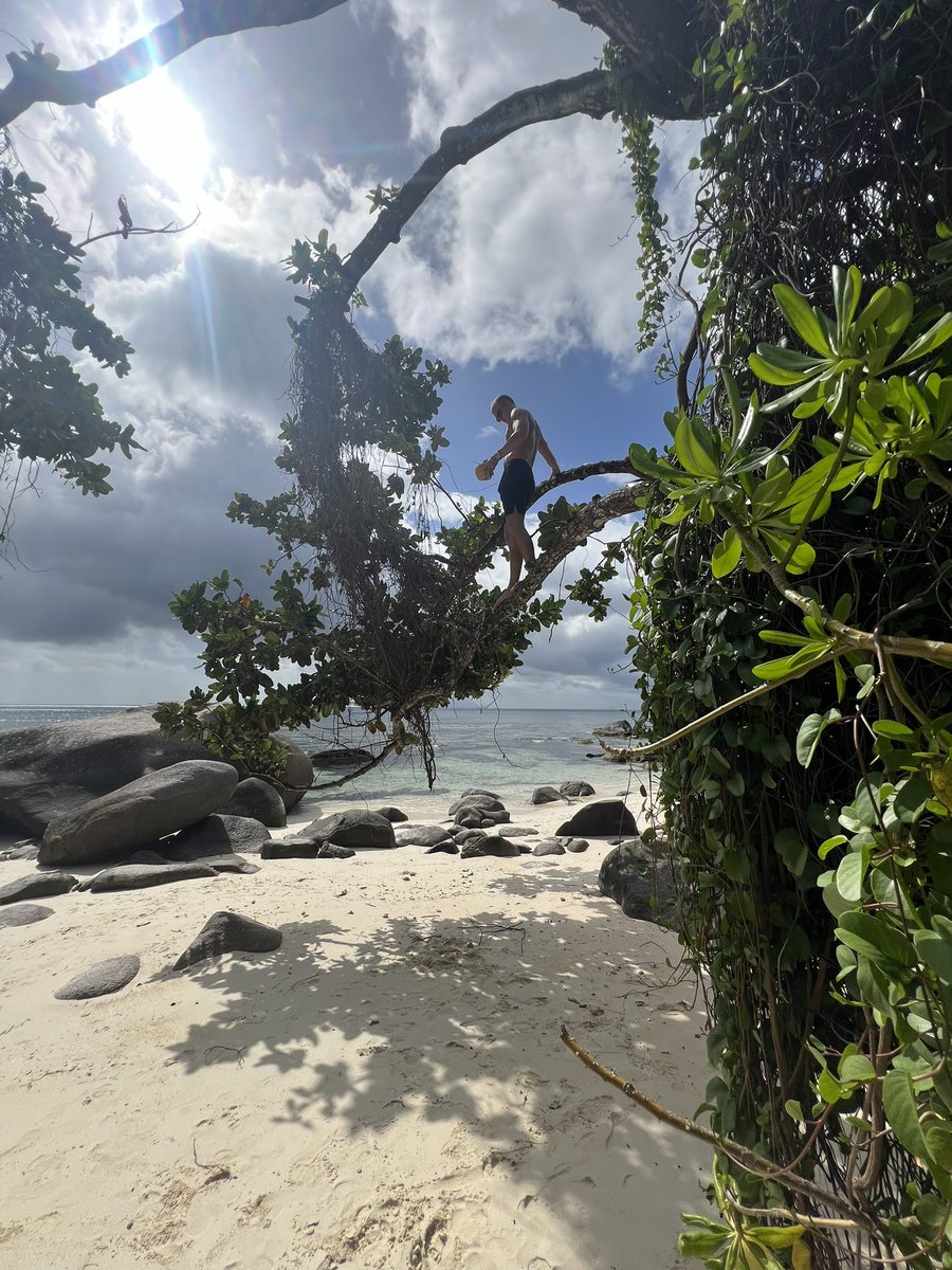 Morten Mosvold Jørgensen tweet media