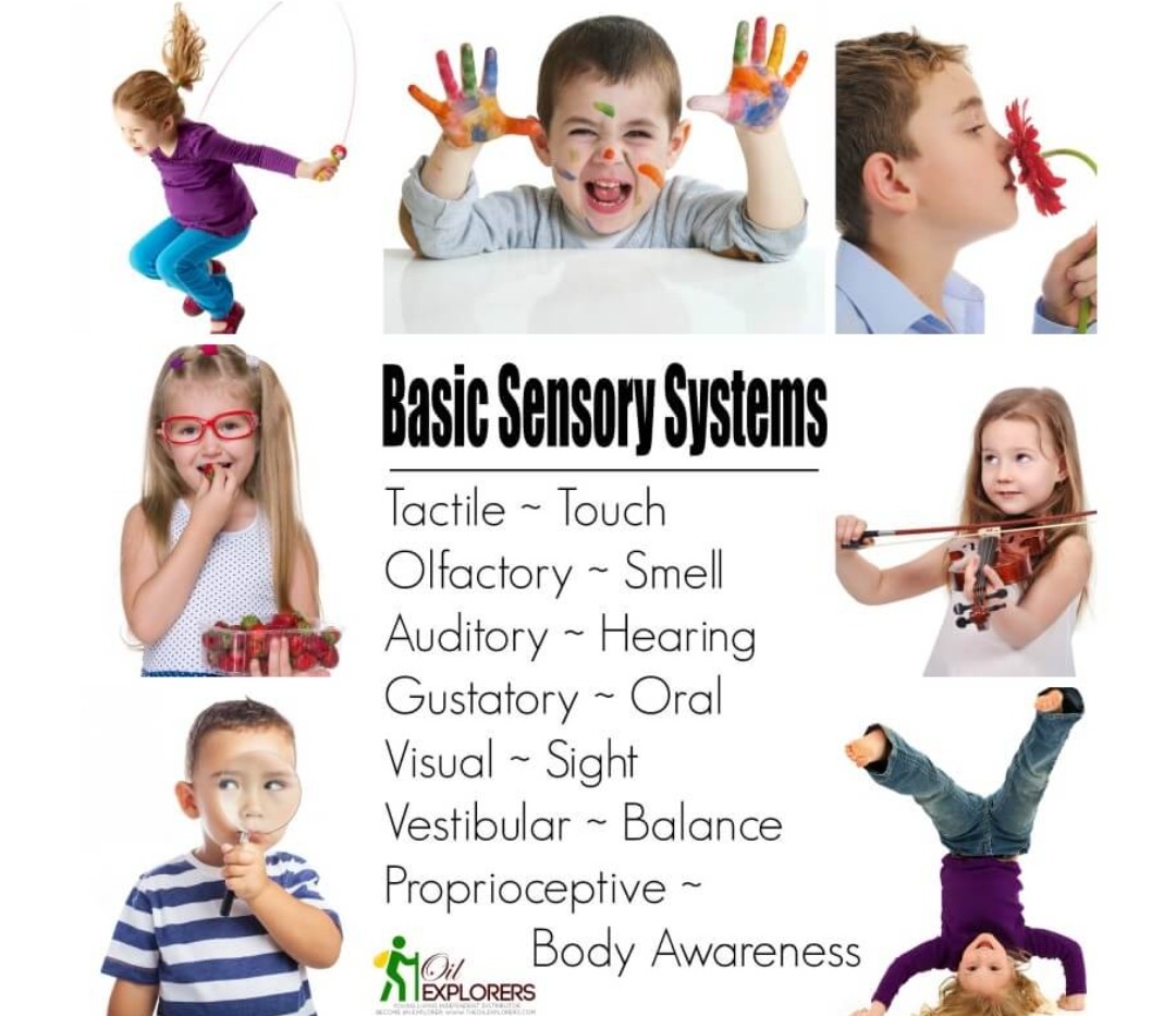 #sensoryprocessingdisorder 
#sensoryprocessingdisorderawareness #october #sensoryprocessingdisorderawarenessmonth #Neurodiversity #autism #adhd #ODD #PDA