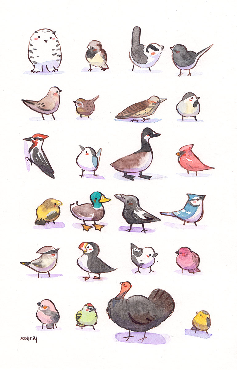 _kness's tweet photo. Québec resident birbs https://t.co/FtdDCIbISW
