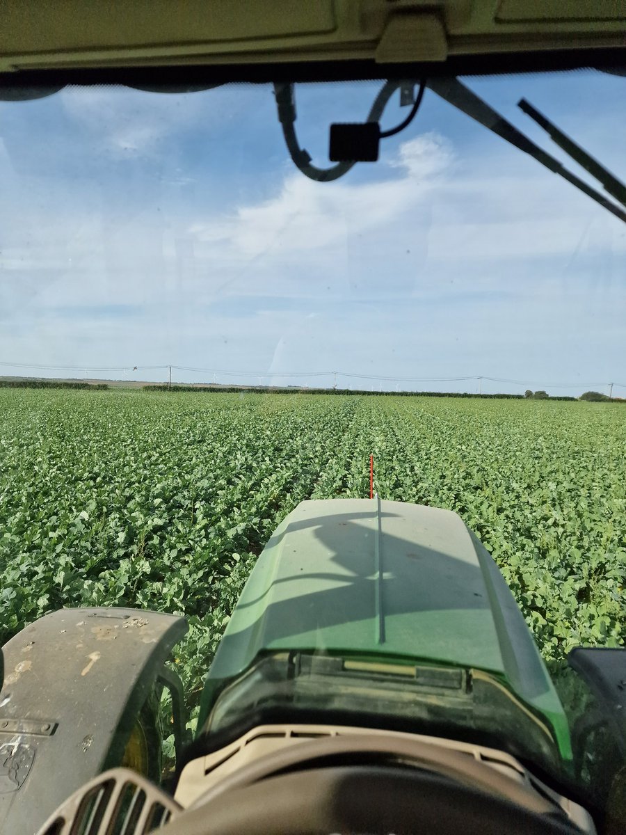 Samuel Merceron tweet media