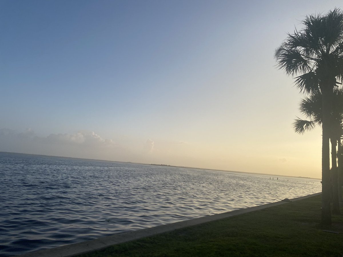 Choco🇻🇪 tweet media