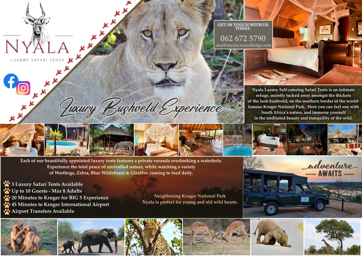 Accommo66792711's tweet photo. Nyala- Luxury Safari Tents
BOOK NOW!!!!!!!!!
https://t.co/uHcGzJL0fA
#marlothpark #marlothparkaccommodation #accommodationneeded #AccommodationSouthAfrica https://t.co/u0Nnv05XwF