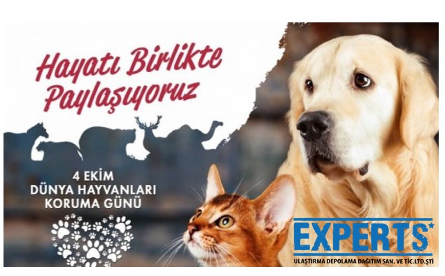 Experts_ulas's tweet photo. @Erturulb27 
#expertsnakliyat
կ 𝕰𝖐𝖎𝖒 𝕯ü𝖓𝖞𝖆 𝕳𝖆𝖞𝖛𝖆𝖓𝖑𝖆𝖗ı 𝕶𝖔𝖗𝖚𝖒𝖆 𝕲ü𝖓ü, 
Hayvanların yaşam hakkını ve yaşam alanlarını korumak bizim elimizde. Bugün değil her gün onlara sahip çıkalım! 🦌🐢🦝🐆🐅🦎🐍🐘🦙🐫🐪🐏🐐🦛🦏🐂🐃🐎🐑🐒🦇🐖 https://t.co/V3er4kvV5a