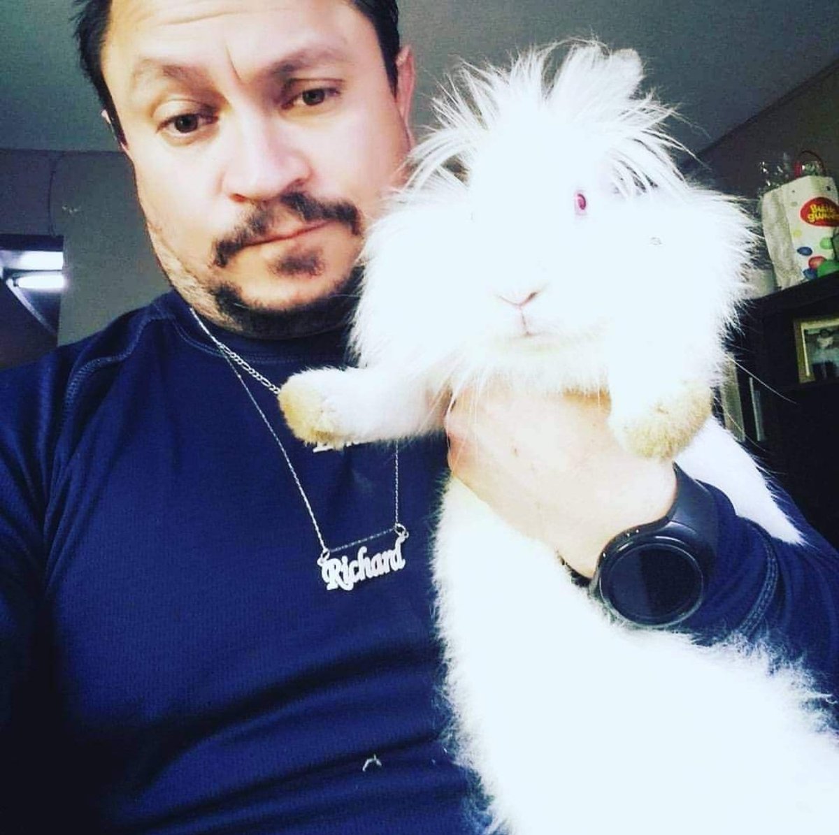 Chawkosky's tweet photo. #BuenosDiasTVN es el señor conejo de Antofagasta https://t.co/HSSg8w7ave