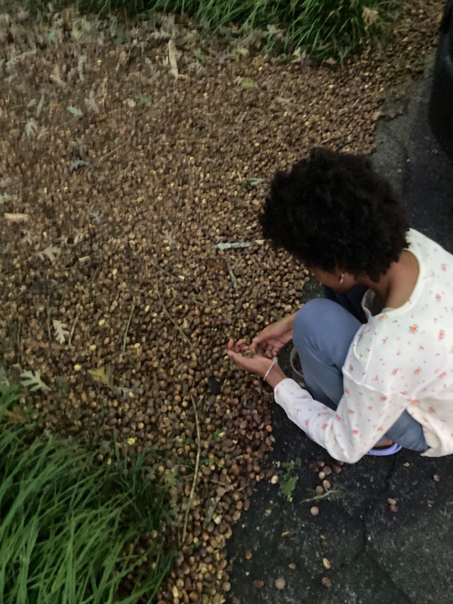 Climate Conservation Club tweet media