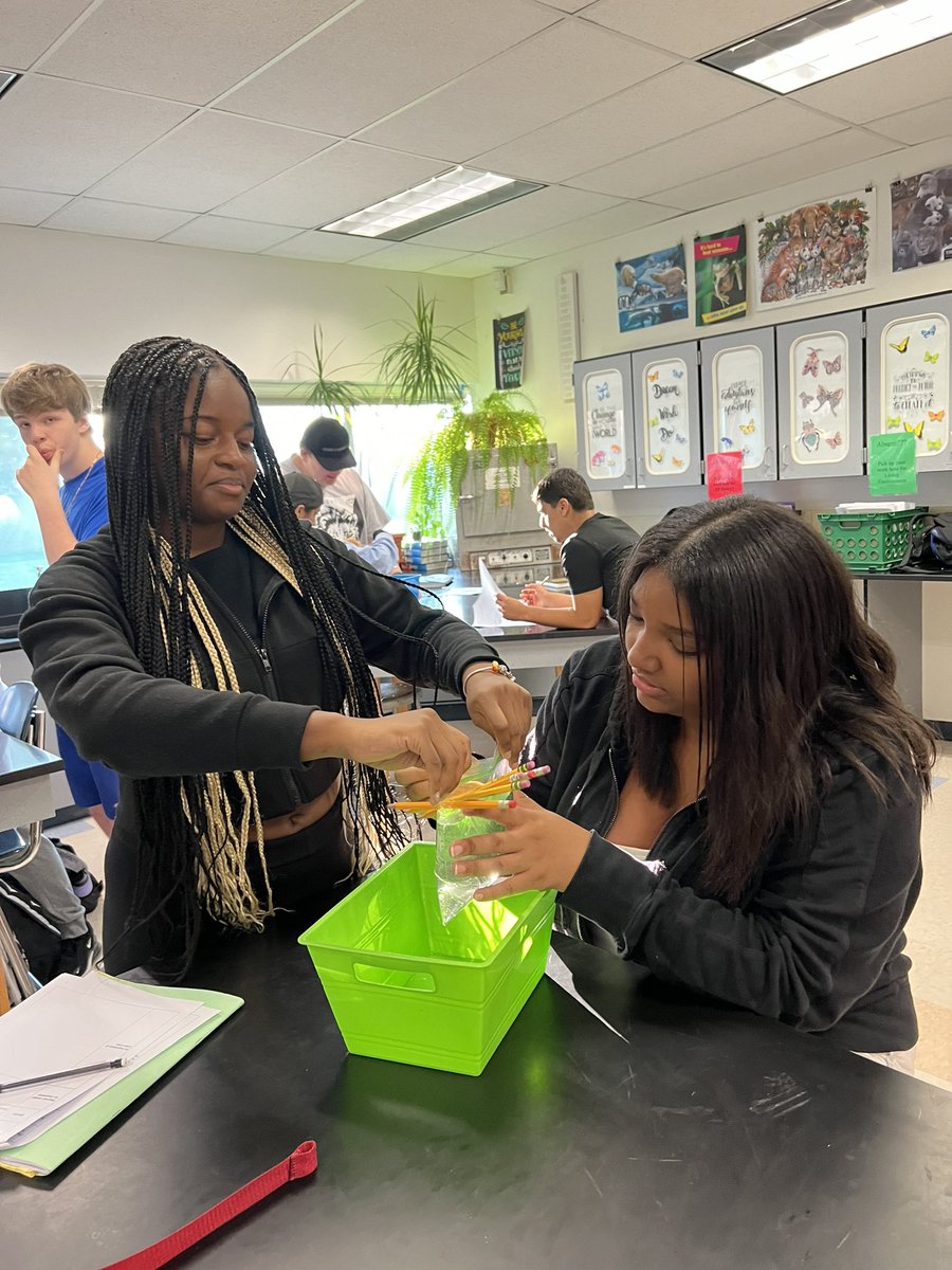 mrsgrulichlhs's tweet photo. Half day fun with the scientific method! https://t.co/4m8HVs3p9i