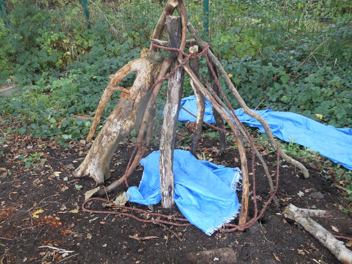 Saint Helen's Junior School Brentwood tweet media