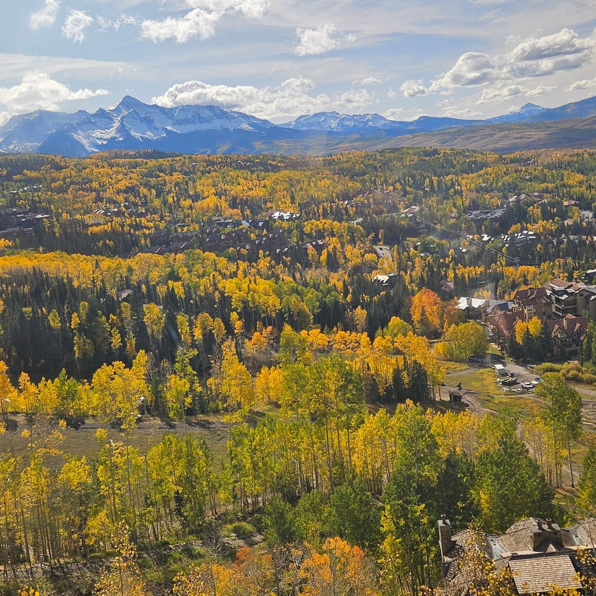 Cecelia Ann tweet media