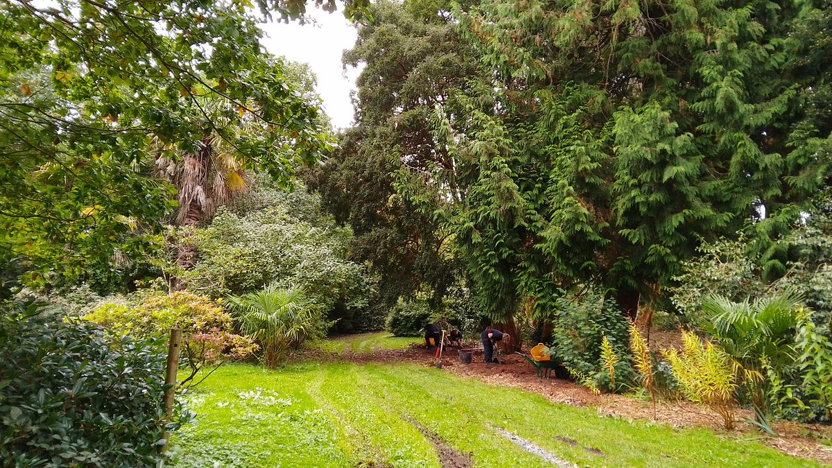 jdeeham's tweet photo. Mount Stewart volunteering
Lily Wood
Bulb planting https://t.co/YwPnY8pnhX