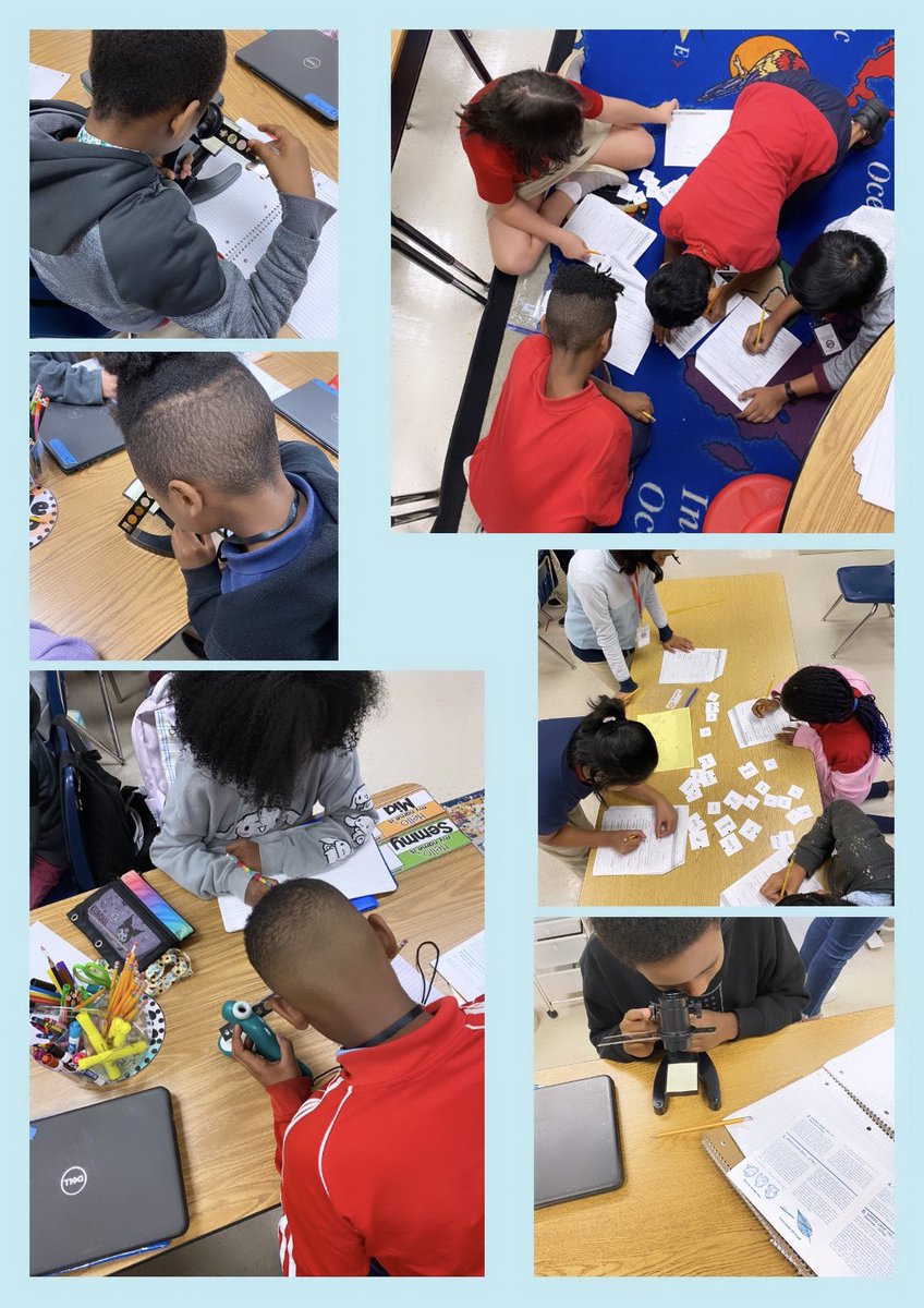 What 8:00am looks like at Woodland ES for fifth graders… examining plant and animal cells and building new words. @WESWildcats2 @MsHillsScholars #LoveOfTeaching #LoveOfLearning #STEM