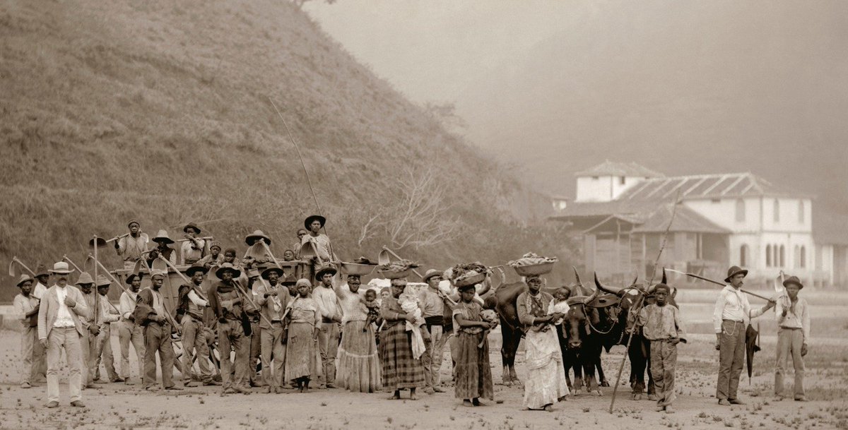 "O que dizem os investimentos do Estado e do Banco do Brasil na escravidão".

Mais um texto para o <a href="/UOL/">UOL</a>  - Coluna Presença Histórica.
Link para o texto: shre.ink/nibI