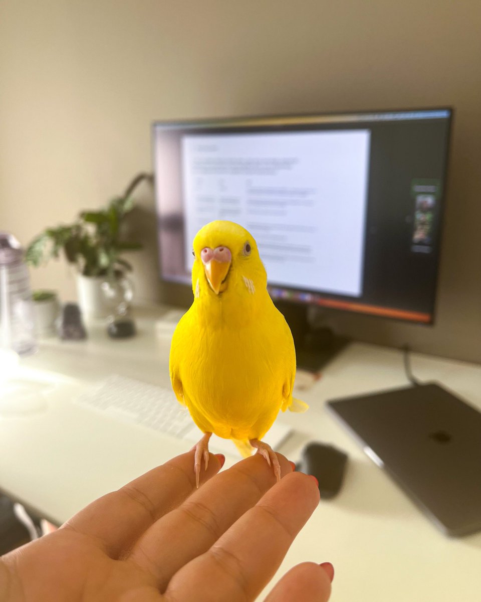 Parmaklarımın ucundaki küçük ayaklarını hissetmek 🐥 Günlük mutluluk dozunu aldım