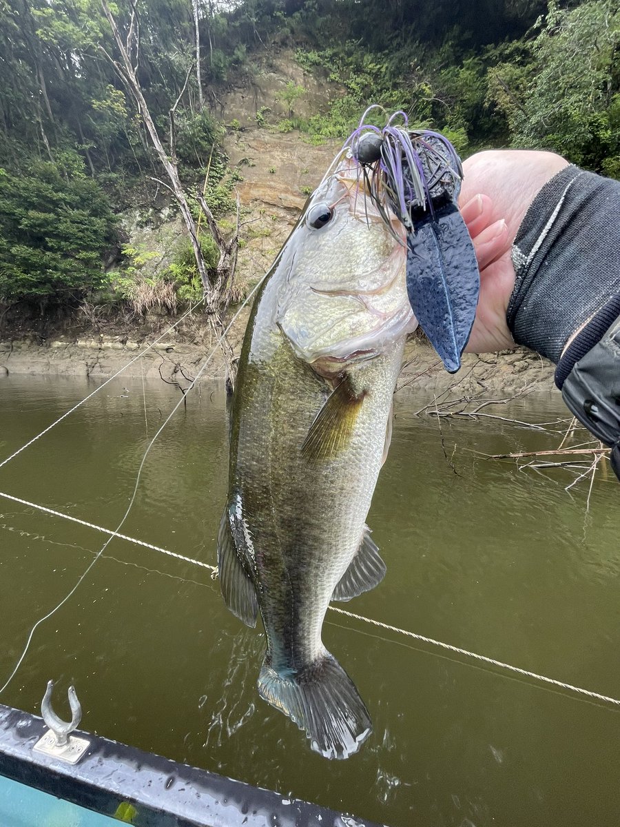t_a__k__a's tweet photo. 雨の中三島湖
ジグストで3バイト出しましたが1本バラしました😭ライトリグに逃げずよかった😆
#三島湖　#ボトムアップ https://t.co/X0RjvcYfau