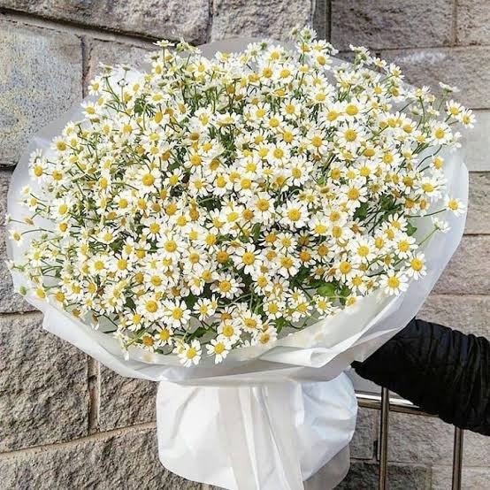 Happy birthday, love🤍