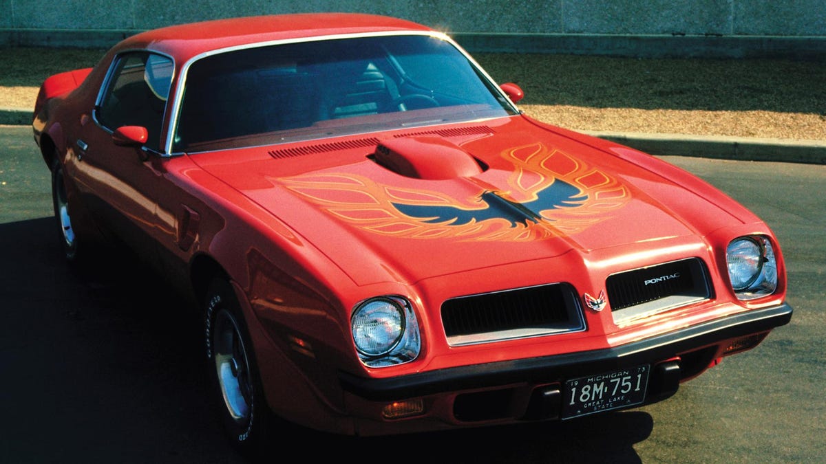 OreBobby's tweet image. What Are The Best Cars That Are Named After A Bird? #pontiacfirebird #environment  jalopnik.com/what-are-the-b…