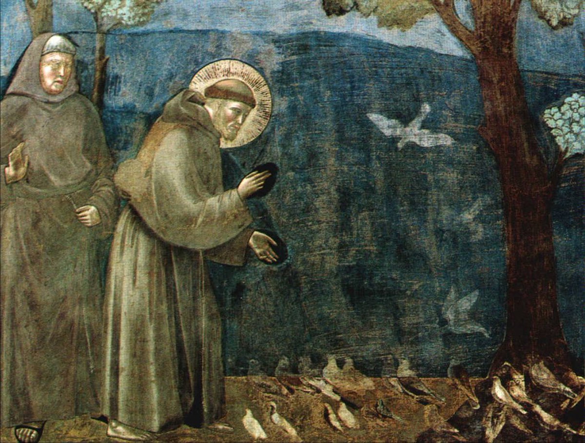 🟨🔵 Oggi è #SanFrancesco. Il suo #CanticodelleCreature, inno alla bellezza della #natura, è uno dei primi testi in #italiano volgare:

Laudato si', mi' Signore, per sora nostra matre terra, la quale ne sustenta et governa, et produce diversi fructi con coloriti flori et herba.