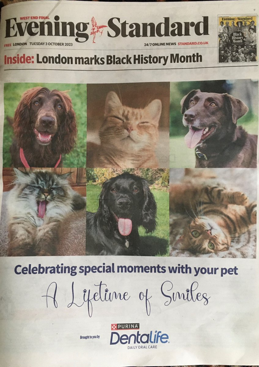 baproxanne's tweet photo. Has anyone noticed the ‘awkward juxtaposition’ in @standardnews between photographs of pets and black activists? 

Just in time for 
#BlackHistoryMonth. https://t.co/nyei3cttle