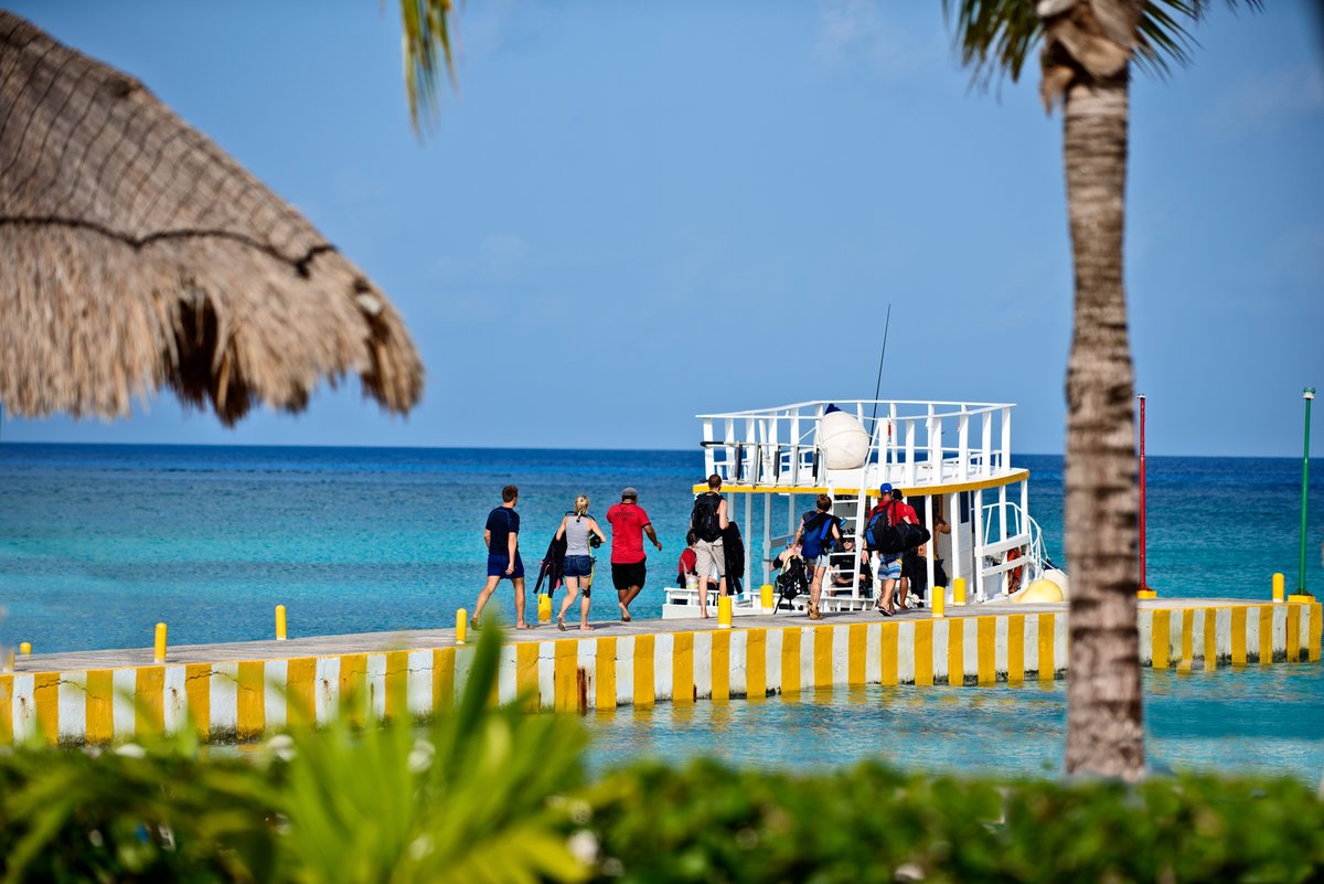 ProDiveInt's tweet image. 🎉 Congrats to the lucky winners of our InterDive-raffle!
1. 7-Night Dive Vacay for 2 at Allegro Cozumel: Tobias Müller
2. Yucatan Great Explorer: Marianne John-Koschke
3. Yucatan Explorer: Sigmar Fiedler

#mexico #scubadiving @PADI #Cozumel #rivieramaya @barcelohoteles