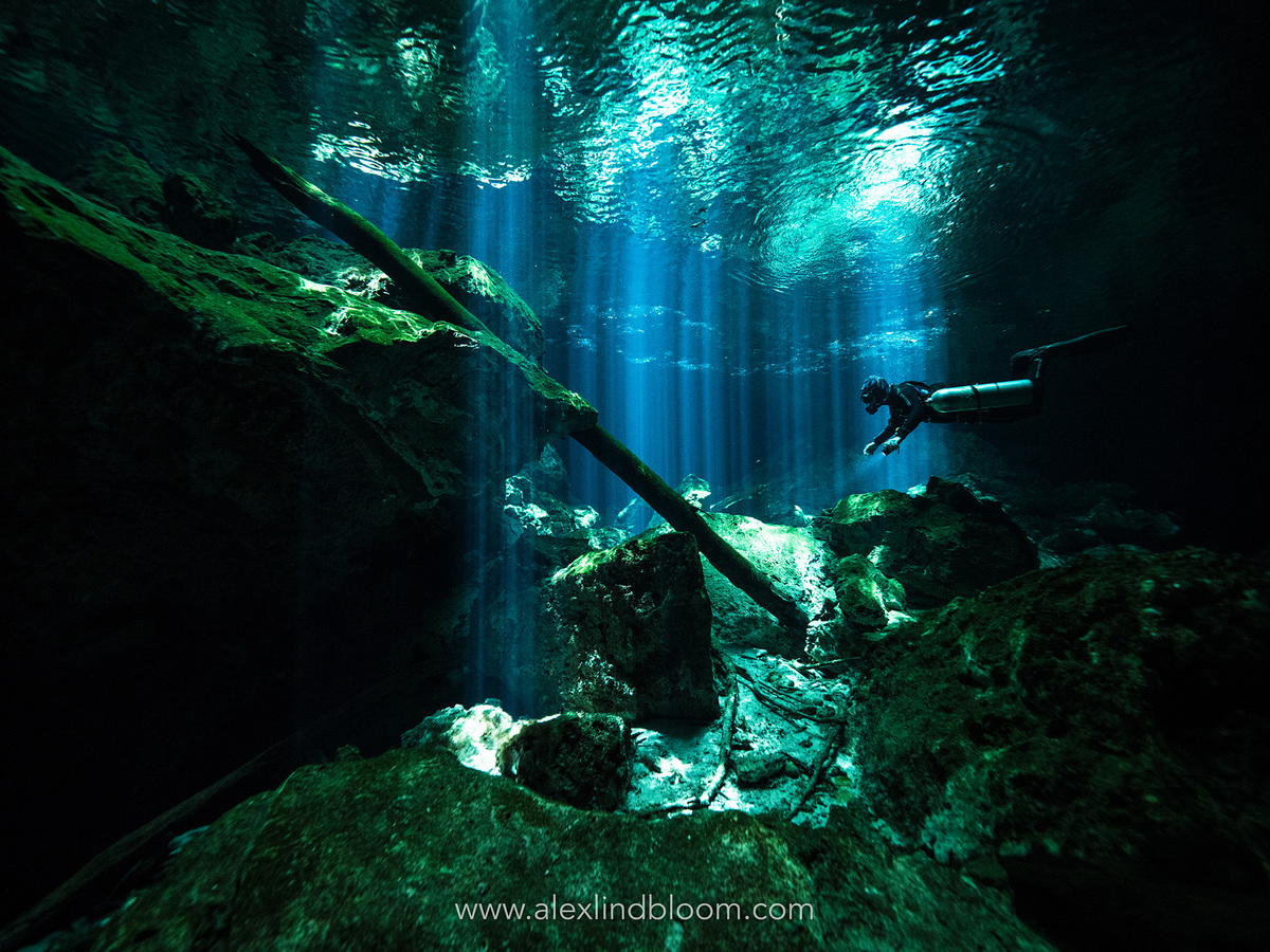 ProDiveInt's tweet image. 🎉 Congrats to the lucky winners of our InterDive-raffle!
1. 7-Night Dive Vacay for 2 at Allegro Cozumel: Tobias Müller
2. Yucatan Great Explorer: Marianne John-Koschke
3. Yucatan Explorer: Sigmar Fiedler

#mexico #scubadiving @PADI #Cozumel #rivieramaya @barcelohoteles