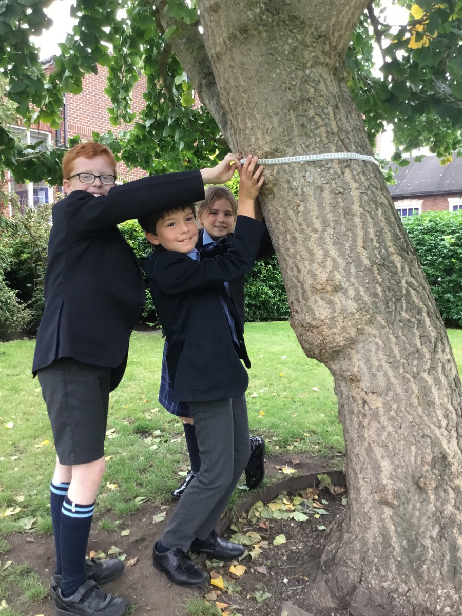 KSGJunior's tweet photo. This week is #EcoWeek in Junior School! Years 4, 5 and 6 have been busy measuring the carbon absorption of the trees we have in school. Trees are important and they offset the carbon dioxide we produce in our cars and factories to keep our air clean.
#KingsSMARTTeamwork https://t.co/JneckFzkEr