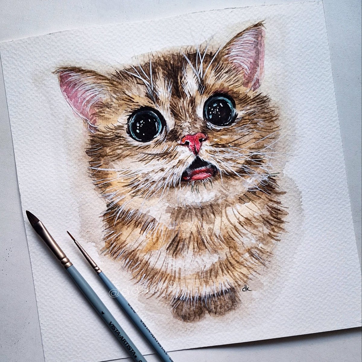 Darin⁷ tweet media