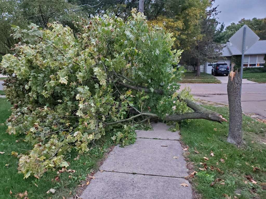 boese_brett's tweet image. Fun news from a renter. Was there even a storm last night?! #LandlordProblems