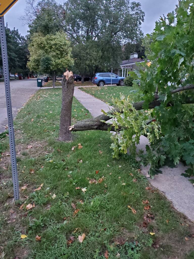 boese_brett's tweet image. Fun news from a renter. Was there even a storm last night?! #LandlordProblems