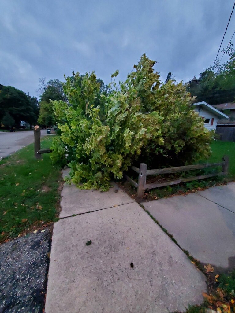 boese_brett's tweet image. Fun news from a renter. Was there even a storm last night?! #LandlordProblems