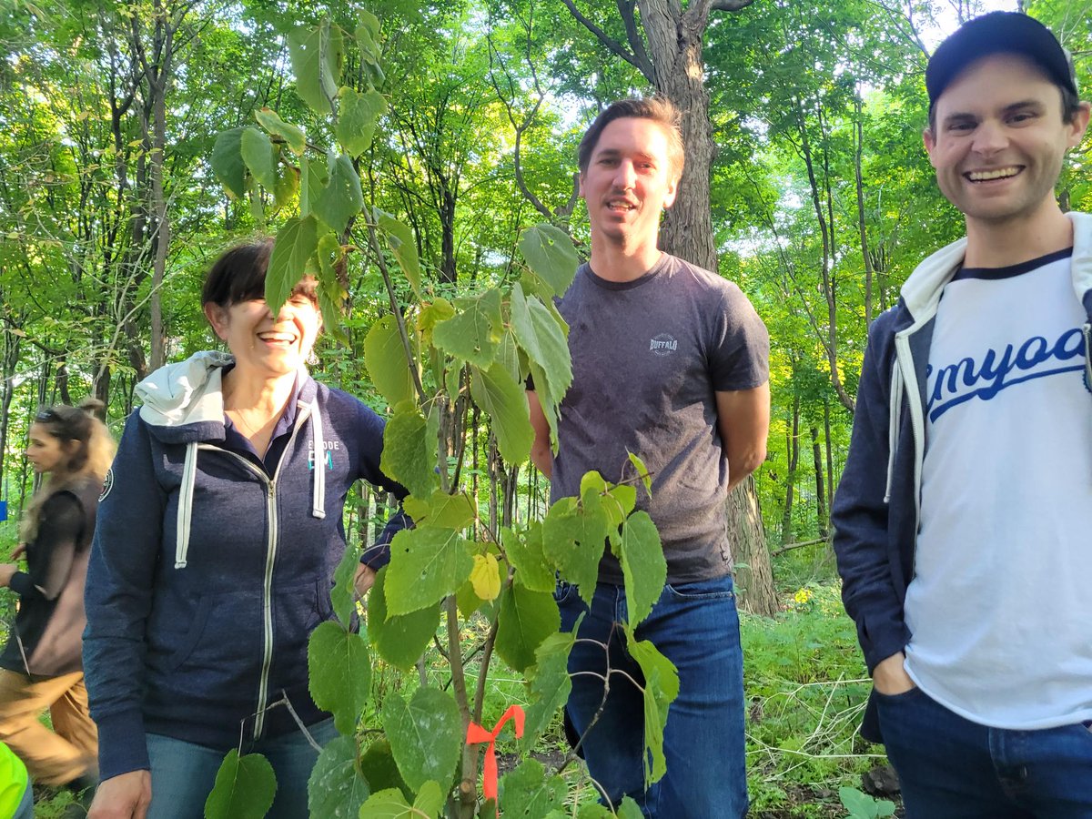Emyode_'s tweet photo. Chez Emyode, nous comprenons l'importance de l'équilibre pour un avenir durable, et nous sommes déterminés à avoir un impact positif sur l'environnement. 🌳🌿 #JournéeNationaleDeLArbre #Durabilité #Environnement #Emyode https://t.co/00uWKvbm35