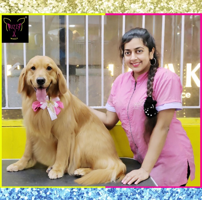 FuzzyRadhiya's tweet image. A Shining Star 😍 #goldenretriever Groomed at @fuzzywuzzyradhiya 🐩
 
To book your pets&apos; spa appointment 🙂 Kindly call / whatsapp on 9341433040 😊
.
.
Follow @fuzzywuzzyradhiya to know more about Professional Pet Grooming Services 😀
.
#fuzzywuzzy #petgrooming #petspa