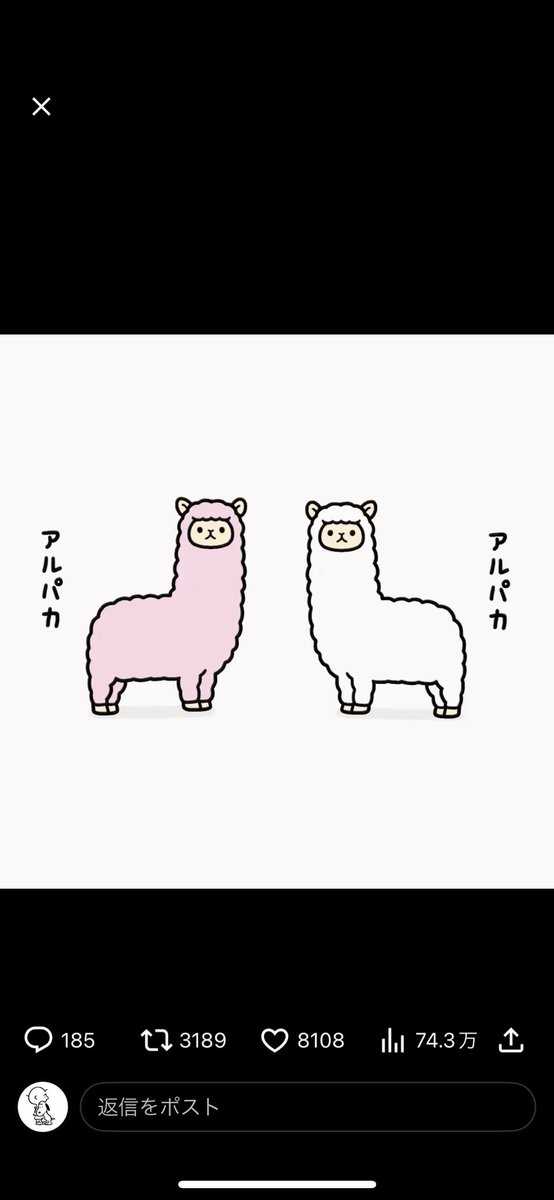 fuumikooo's tweet photo. @mohamedo62 道のり長かった。人生を割いて辿り着いた！ https://t.co/o1Atm4INj6