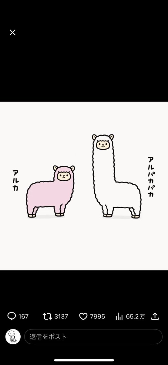 fuumikooo's tweet photo. @mohamedo62 道のり長かった。人生を割いて辿り着いた！ https://t.co/o1Atm4INj6