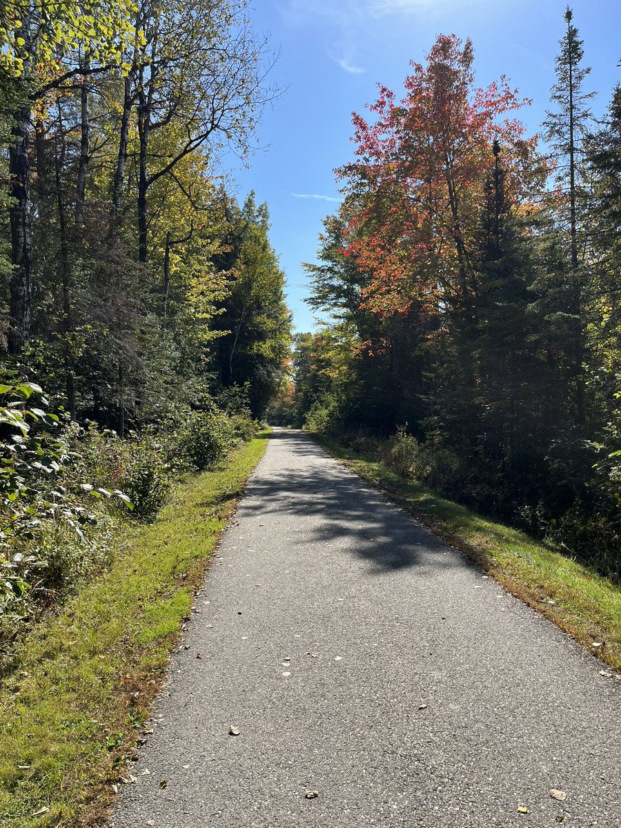 remingtonruns's tweet photo. The little guy (TLG) is up to 55.3 stroller miles #strollerrunning #running https://t.co/FtrCdovcLW