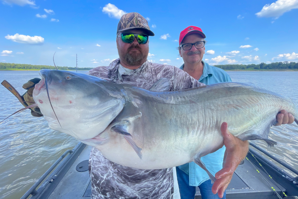 CatfishNOW1's tweet photo. If youβre hoping to catch a trophy catfish, youβll want to read the advice given by Captain Mike Mitchell in the latest edition of CatfishNOW!
https://t.co/aRb6XYXNff
#CatfishNOW #FallFishingTips #TrophyCatfish #BlueCatfish #FlatheadCatfish https://t.co/t1oPZEK5fJ
