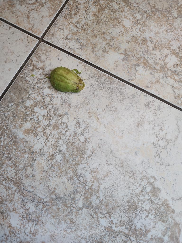 John Smith Ⓥ tweet media